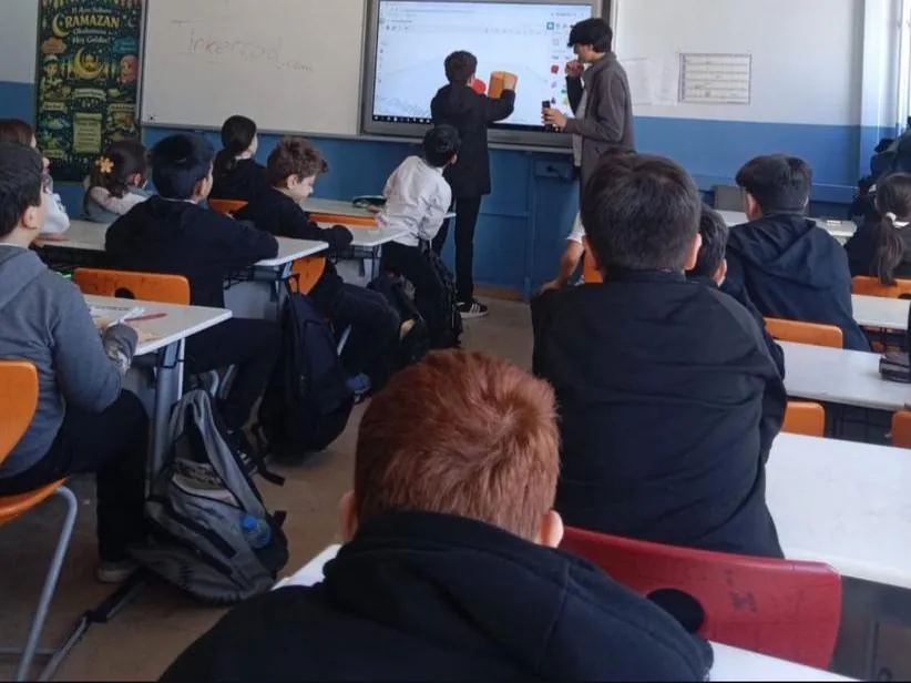 Anadolu Cemresi CAD session