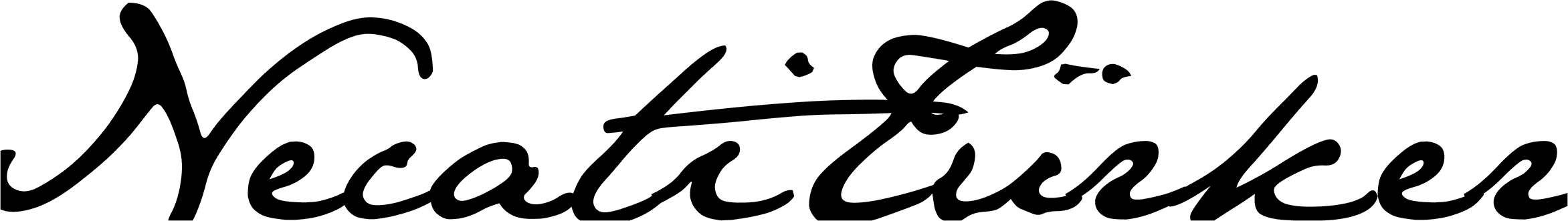 Necati Türker signature